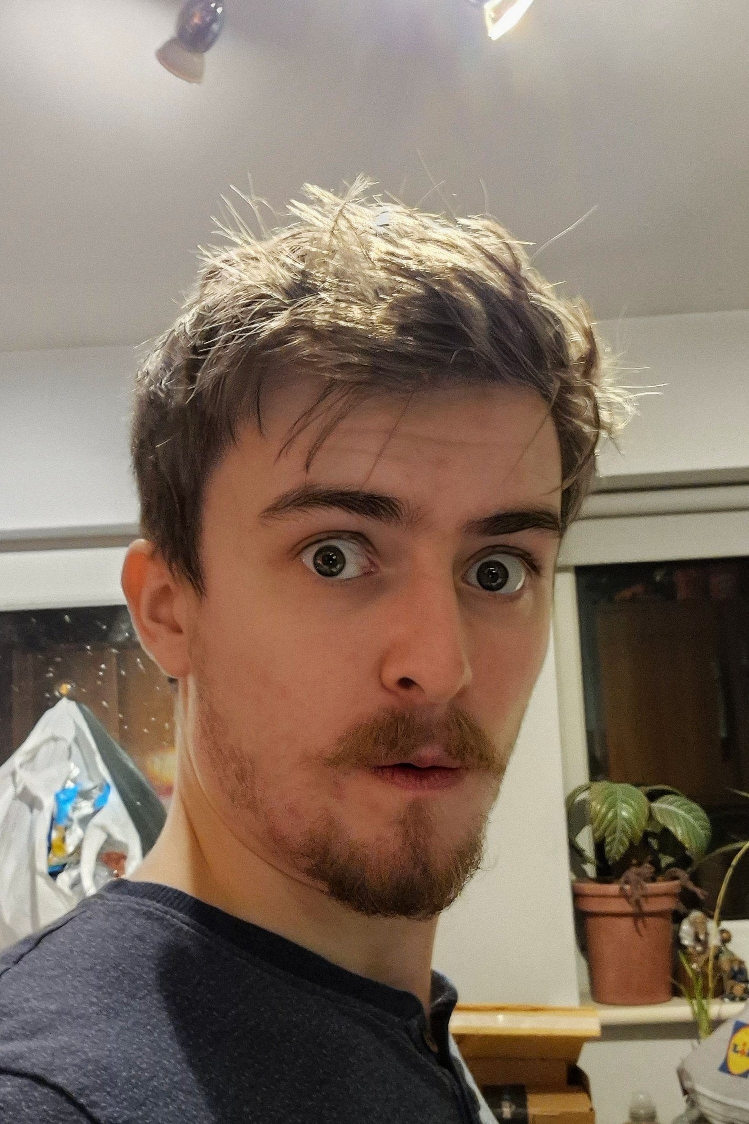 DanTheVoice